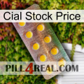 Cial Stock Price new11